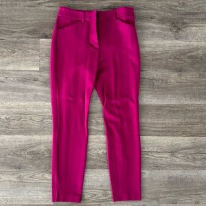 Express Stretchy Slacks